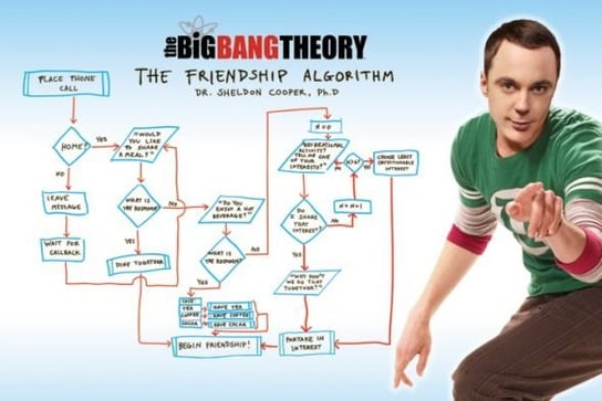 The Big Bang Theory - Friendship Algorithm - plakat 91,5x61 cm Pyramid Posters
