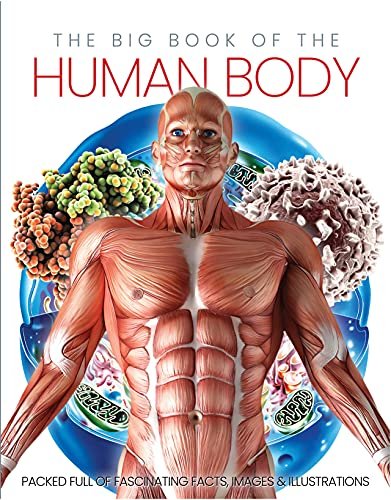 The Big Book of the Human body Marsh Katherine