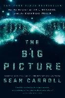 The Big Picture Carroll Sean B.