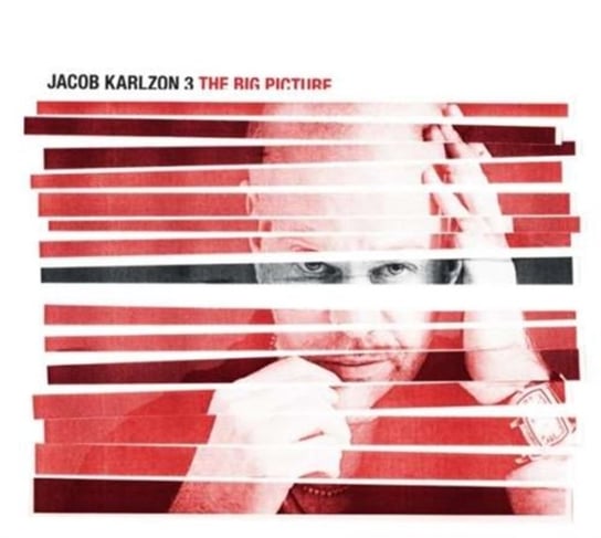 The Big Picture Jacob Karlzon 3
