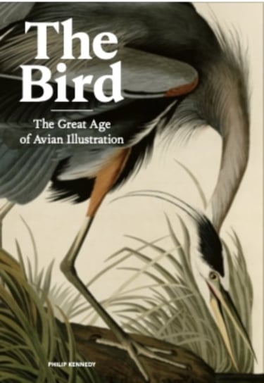The Bird: The Great Age of Avian Illustration Kennedy Philip