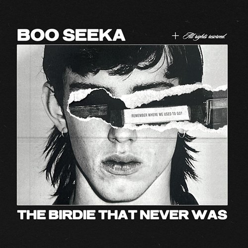 The Birdie That Never Was BOO SEEKA
