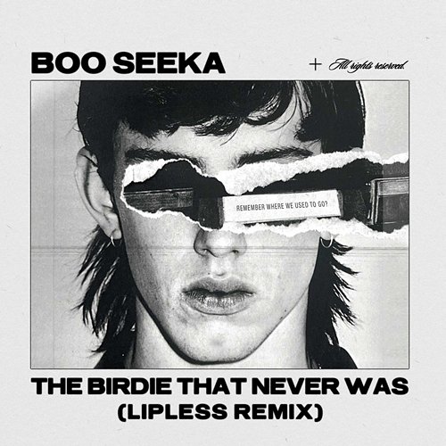 The Birdie That Never Was BOO SEEKA, Lipless