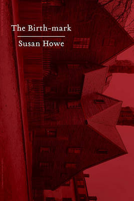 The Birth-Mark: Essays Howe Susan