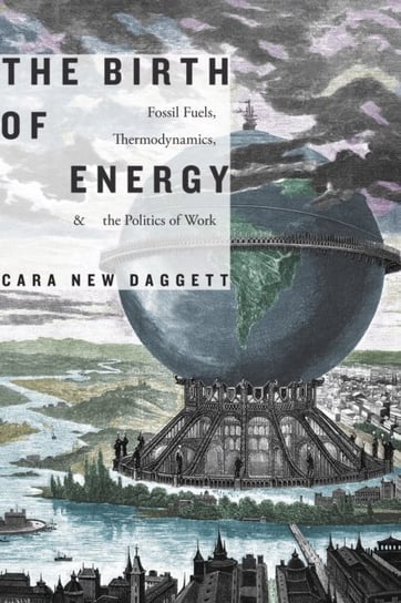 The Birth of Energy: Fossil Fuels, Thermodynamics and the Politics of Work Cara New Daggett