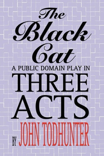 The Black Cat Todhunter John
