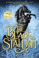 The Black Stallion Farley Walter