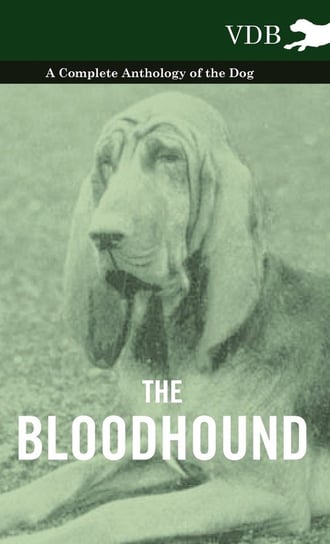 The Bloodhound - A Complete Anthology of the Dog - Various