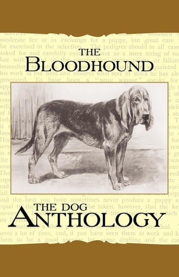 The Bloodhound - A Dog Anthology (A Vintage Dog Books Breed Classic) Various