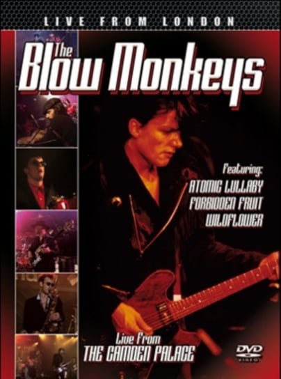 The Blow Monkeys: Live from London (brak polskiej wersji językowej) Store for Music/RSK