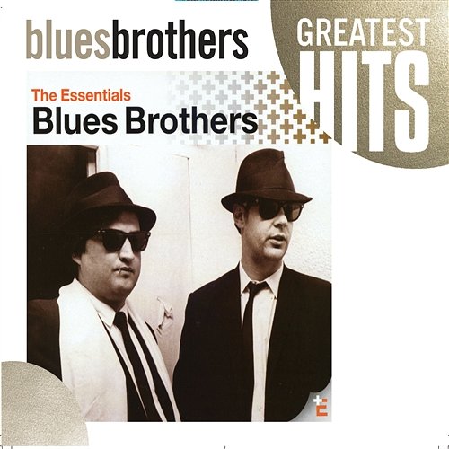 (I Got Everything I Need) Almost The Blues Brothers