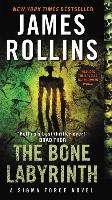 The Bone Labyrinth Rollins James