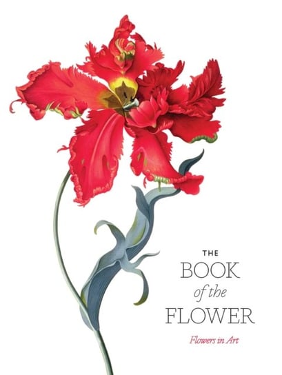 The Book of the Flower: Flowers in Art Hyland Angus, Wilson Kendra
