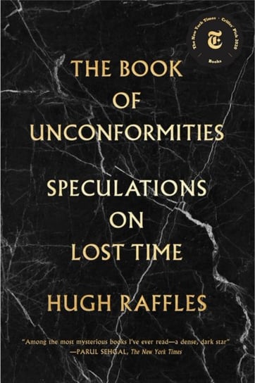 The Book Of Unconformities Hugh Raffles