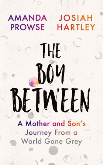 The Boy Between: A Mother and Sons Journey From a World Gone Grey Opracowanie zbiorowe