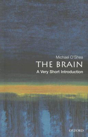 The Brain. A Very Short Introduction O'Shea Michael