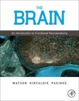 The Brain Watson Charles, Kirkcaldie Matthew, Paxinos George
