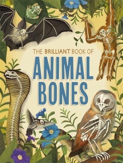 The Brilliant Book of Animal Bones Claybourne Anna