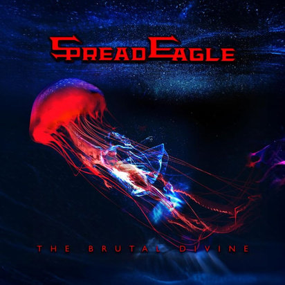 The Brutal Divine Spread Eagle