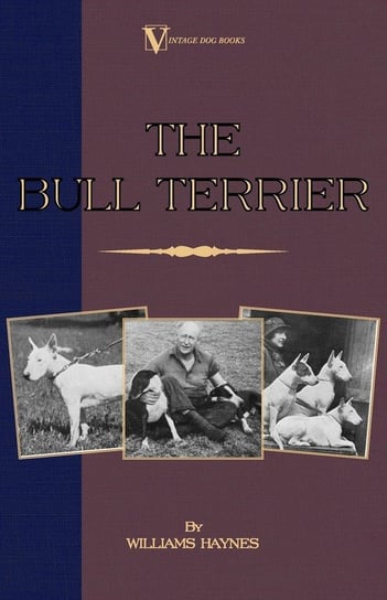 The Bull Terrier Haynes Williams