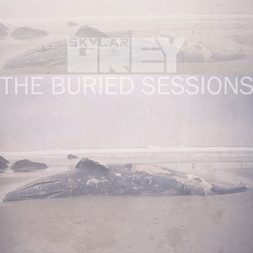 The Buried Sessions of Skylar Grey Skylar Grey