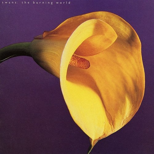 The Burning World Swans
