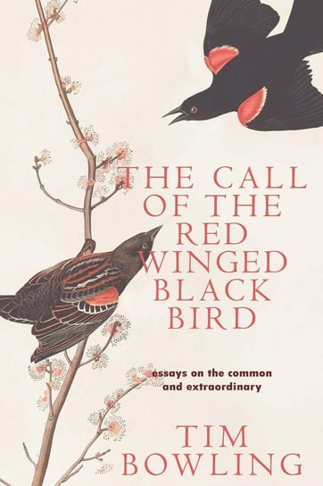 The Call of the Red-Winged Blackbird - ebook epub Bowling Tim