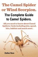 The Camel Spider or Wind Scorpion. the Complete Guide to Camel Spiders. All You Need to Know about Camel Spiders. Facts Including Size, Speed, Bite an Ross Hathai