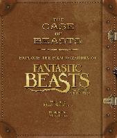 The Case of Beasts: Explore the Film Wizardry of Fantastic Beasts and Where to Find Them Salisbury Mark