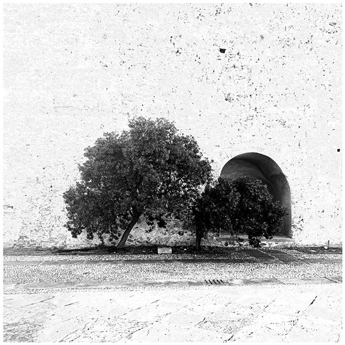 The Circular Grabek