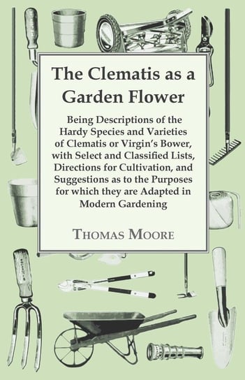 The Clematis As A Garden Flower Moore Thomas
