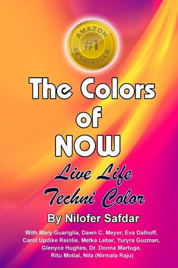 The Colors Of Now Safdar Nilofer