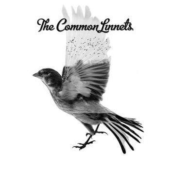 The Common Linnets PL The Common Linnets