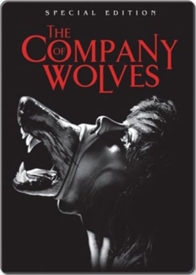 The Company of Wolves (brak polskiej wersji językowej) Jordan Neil