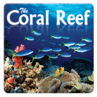 The Coral Reef Various Artists
