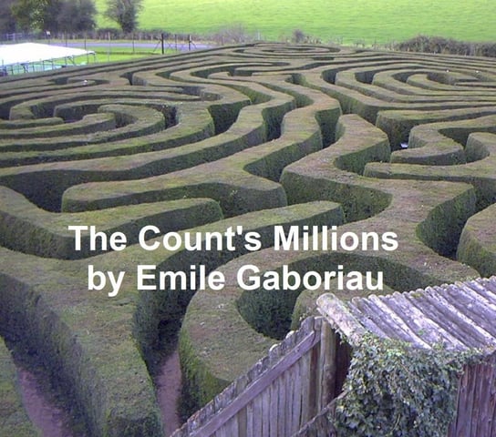 The Count's Millions Emile Gaboriau