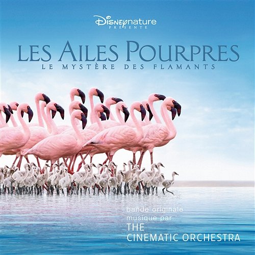The Crimson Wing: Mystery Of The Flamingos The Cinematic Orchestra