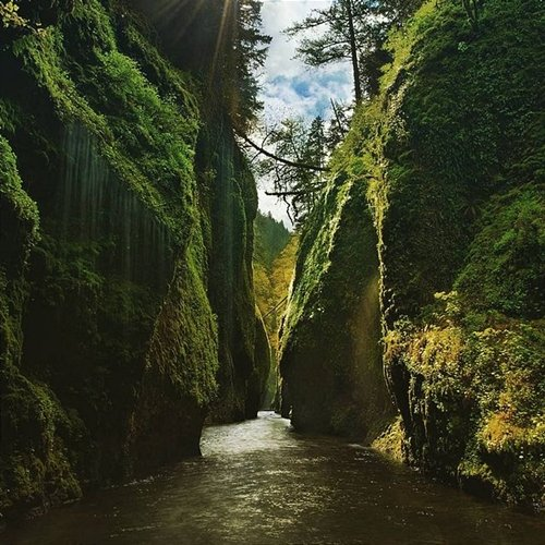 The Cursed Fields The Elmberg Taiga