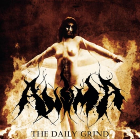 The Daily Grind Anima