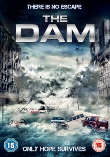 The Dam (brak polskiej wersji językowej) Roy Sohan