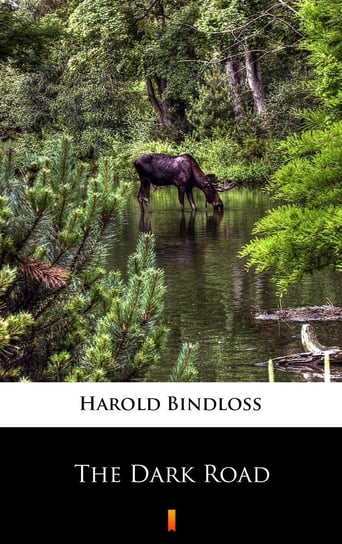 The Dark Road - ebook mobi Bindloss Harold