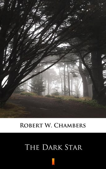The Dark Star Chambers Robert W.