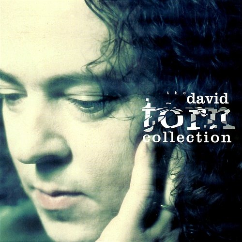 The David Torn Collection Various Artists