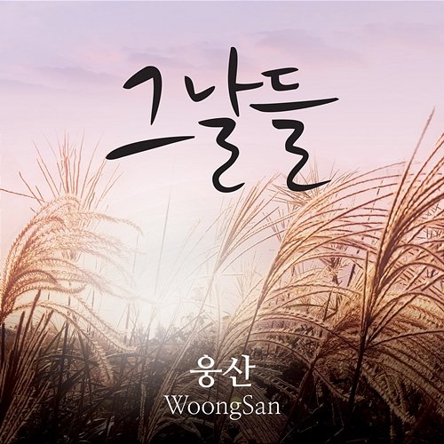 The Days Woongsan