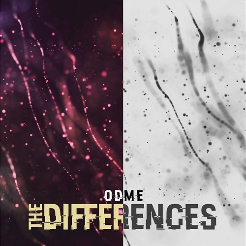 The Differences Odme