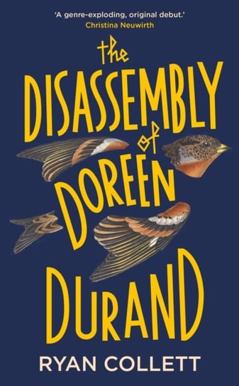 The Disassembly of Doreen Durand Ryan Collett