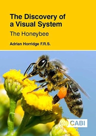 The Discovery of a Visual System - The Honeybee Opracowanie zbiorowe