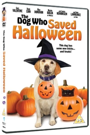 The Dog Who Saved Halloween (brak polskiej wersji językowej) Sullivan Peter