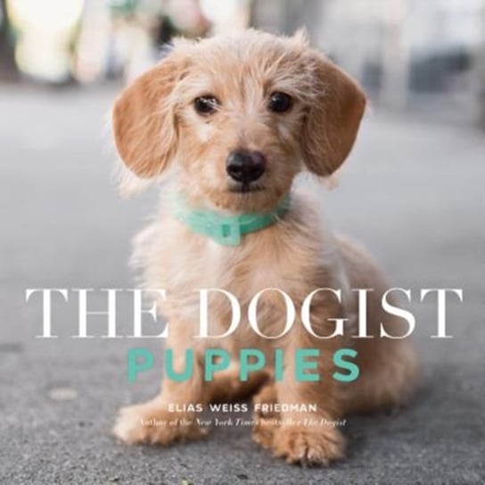 The Dogist Puppies Friedman Elias Weiss