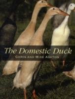 The Domestic Duck Ashton Chris, Ashton Mike